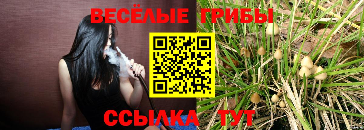 Лангепас  Галлюциногенные грибы GOLDEN TEACHER  магазин продажи наркотиков  Вход с VPN 